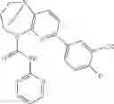 Fig. 536 - Substituted bridged urea analogs as sirtuin modulators