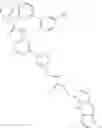 Fig. 808 - Substituted bridged urea analogs as sirtuin modulators