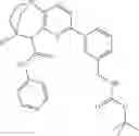 Fig. 953 - Substituted bridged urea analogs as sirtuin modulators