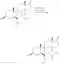 Fig. 130 - SHIP1 modulators and methods related thereto