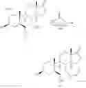Fig. 54 - SHIP1 modulators and methods related thereto