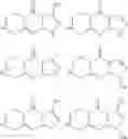 Fig. 15 - TRICYCLIC PIPERAZINE DERIVATIVE