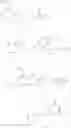 Fig. 335 - TRICYCLIC PIPERAZINE DERIVATIVE