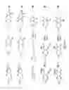 Fig. 31 - Organoboron compounds and methods of making organoboron compounds