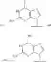 Fig. 19 - Nucleotide analogs