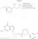 Fig. 229 - Nucleotide analogs