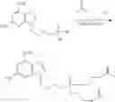 Fig. 243 - Nucleotide analogs