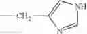 Fig. 265 - Nucleotide analogs