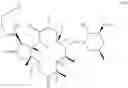 Fig. 20 - KETOLIDE COMPOUNDS