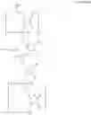 Fig. 14 - Phosphoramidite building blocks for sugar-conjugated oligonucleotides