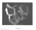 Fig. 08 - Crystalline anhydrate forms of a pharmaceutical