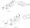 Fig. 144 - 19-NOR neuroactive steroids and methods of use thereof