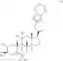 Fig. 218 - 19-NOR neuroactive steroids and methods of use thereof