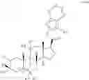 Fig. 23 - 19-NOR neuroactive steroids and methods of use thereof