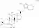 Fig. 41 - 19-NOR neuroactive steroids and methods of use thereof