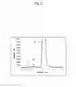 Fig. 03 - Method for purifying antibody protein