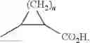 Fig. 17 - Indoline compounds as granzyme B inhibitors