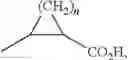 Fig. 196 - Indoline compounds as granzyme B inhibitors