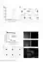 Fig. 02 - COMPOSITIONS AND METHODS FOR TARGETING ANTIGEN-PRESENTING CELLS