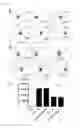 Fig. 03 - COMPOSITIONS AND METHODS FOR TARGETING ANTIGEN-PRESENTING CELLS