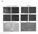 Fig. 04 - COMPOSITIONS AND METHODS FOR TARGETING ANTIGEN-PRESENTING CELLS