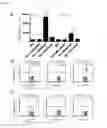 Fig. 06 - COMPOSITIONS AND METHODS FOR TARGETING ANTIGEN-PRESENTING CELLS