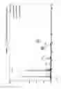 Fig. 16 - COMPOSITIONS AND METHODS FOR ENDOTOXIN NEUTRALIZATION