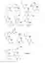 Fig. 05 - Template-directed γPNA synthesis process and γPNA targeting compounds