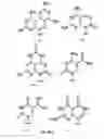 Fig. 08 - Template-directed γPNA synthesis process and γPNA targeting compounds