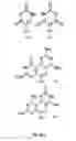Fig. 09 - Template-directed γPNA synthesis process and γPNA targeting compounds
