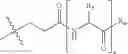 Fig. 24 - Template-directed γPNA synthesis process and γPNA targeting compounds