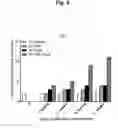 Fig. 05 - COMPOSITION COMPRISING RECOMBINANT FUSION PROTEIN OF PATHOGENIC ANTIGEN PROTEIN AND FLAGELLIN OF VIBRIO VULNIFICUS FOR PREVENTING, ALLEVIATING, OR TREATING AGING