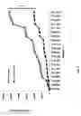 Fig. 04 - Plasmodium falciparum antigens