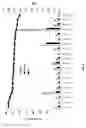 Fig. 05 - Plasmodium falciparum antigens