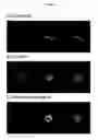 Fig. 08 - Vaccines against apicomplexan pathogens