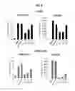 Fig. 12 - Inhibitors of the T cell-specific alternative p38 activation pathway and methods of use