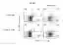 Fig. 14 - Inhibitors of the T cell-specific alternative p38 activation pathway and methods of use