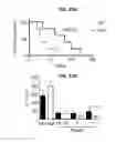 Fig. 18 - Inhibitors of the T cell-specific alternative p38 activation pathway and methods of use