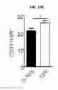 Fig. 21 - Inhibitors of the T cell-specific alternative p38 activation pathway and methods of use
