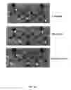 Fig. 03 - IMMUNOMODULATORY COMPOSITIONS AND METHODS FOR TREATING DISEASE WITH MODIFIED HOST DEFENSE PEPTIDES