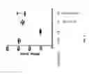 Fig. 07 - IMMUNOMODULATORY COMPOSITIONS AND METHODS FOR TREATING DISEASE WITH MODIFIED HOST DEFENSE PEPTIDES