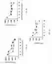 Fig. 09 - IMMUNOMODULATORY COMPOSITIONS AND METHODS FOR TREATING DISEASE WITH MODIFIED HOST DEFENSE PEPTIDES