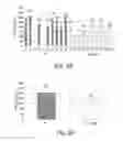 Fig. 04 - NOVEL POLYPEPTIDES