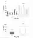 Fig. 07 - NOVEL POLYPEPTIDES