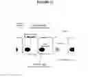Fig. 13 - Composition and methods based on neutralizing antibodies delivered intranasally for enhanced therapeutic efficacy