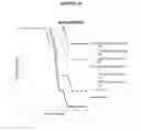 Fig. 22 - Composition and methods based on neutralizing antibodies delivered intranasally for enhanced therapeutic efficacy