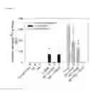 Fig. 06 - Sodium pump antibody agonists and methods of treating heart disease using the same