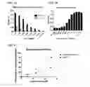 Fig. 02 - TARGETING CONSTRUCTS BASED ON NATURAL ANTIBODIES AND USES THEREOF