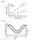 Fig. 04 - TARGETING CONSTRUCTS BASED ON NATURAL ANTIBODIES AND USES THEREOF