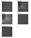 Fig. 05 - TARGETING CONSTRUCTS BASED ON NATURAL ANTIBODIES AND USES THEREOF